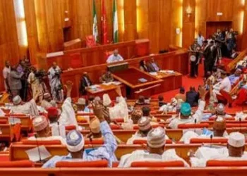 Senate Passes Bill Mandating 30% Local Processing of Exported Raw Materials