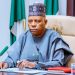 Shettima Urges Green Hydrogen Investment to Cut Fossil Fuel Dependence