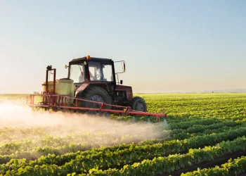 FG Reaffirms Commitment to Agric Sector Growth with Industrial Hubs Initiative