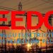 Tariff Dispute Plunges Enugu into Darkness as EEDC Slashes Power Supply to MEDL