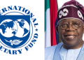 IMF, IFC Commend Tinubu’s Reforms, Urge Sustained Action for Investment Growth