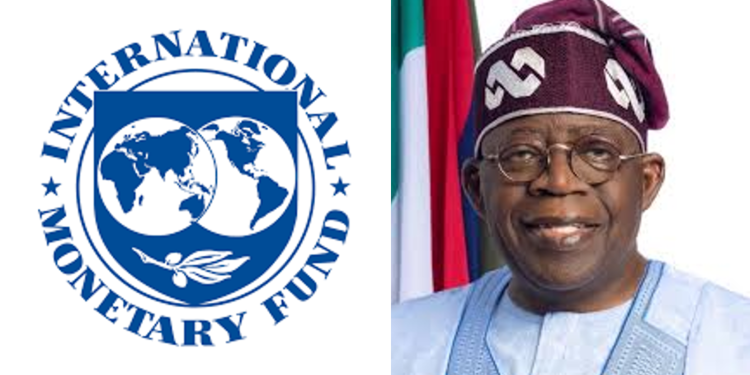 IMF, IFC Commend Tinubu’s Reforms, Urge Sustained Action for Investment Growth