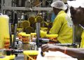 NESG: Nigeria’s Manufacturing Sector Contribution to GDP Drops to 3%