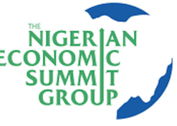 NESG Warns Fuel Subsidy Removal, FX Unification Not Enough for $1 Trillion Economy Goal