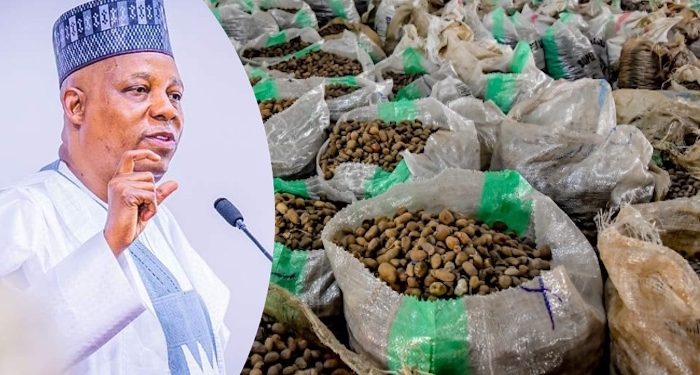 Tinubu Approves Six-Month Ban on Raw Shea Nut Export to Boost Local Industry