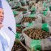 Tinubu Approves Six-Month Ban on Raw Shea Nut Export to Boost Local Industry
