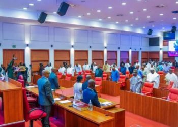 Senate Backs Municipal Bonds and Sukuk as Key to Infrastructure Financing