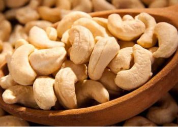 Nigeria’s Cashew Industry Can Sustain 200 Million People, Says Cooperative President