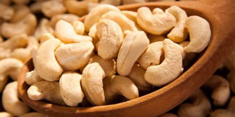 Nigeria’s Cashew Industry Can Sustain 200 Million People, Says Cooperative President