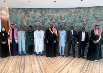 FG Strengthens Economic Ties with Saudi Arabia, Targets FDI Inflows