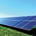 FG, Solarge BV to Build 1,000MW Solar Panel Factory in Nigeria