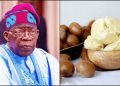 Tinubu Halts Raw Shea Exports to Boost Nigeria’s Global Market Position