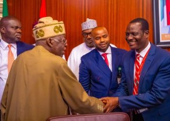 Tax Committee Clarifies Diaspora Concerns, Says Personal Remittances Not Taxable Under 2026 Reforms