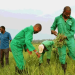 FG Launches National Farmers Soil Health Scheme to Boost Crop Yields, Cut Production Costs