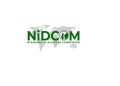 FG, NiDCOM Launch Drive to Harness $20bn Diaspora Remittances for Economic Growth