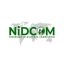 FG, NiDCOM Launch Drive to Harness $20bn Diaspora Remittances for Economic Growth
