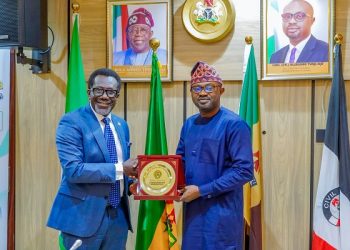 Nigeria Moves to Introduce Travel Insurance to Cut Billions Spent on Repatriation