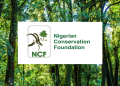NCF, Natural Eco Capital, and Business for Nature Partner to Tackle Nigeria’s Rapid Deforestation 