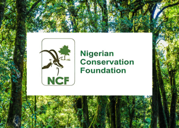 NCF, Natural Eco Capital, and Business for Nature Partner to Tackle Nigeria’s Rapid Deforestation 