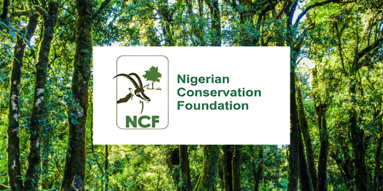 NCF, Natural Eco Capital, and Business for Nature Partner to Tackle Nigeria’s Rapid Deforestation