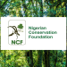 NCF, Natural Eco Capital, and Business for Nature Partner to Tackle Nigeria’s Rapid Deforestation