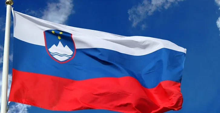 Nigeria-Slovenia Chamber Urges Nigerian Businesses to Tap Slovenian Market Opportunities