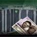 FX Inflows Rebound in December as CBN Steps Up Dollar Sales