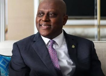 CBN Says Financial Sector Reforms Rely on Sustained Long-Term Capital from DFIs