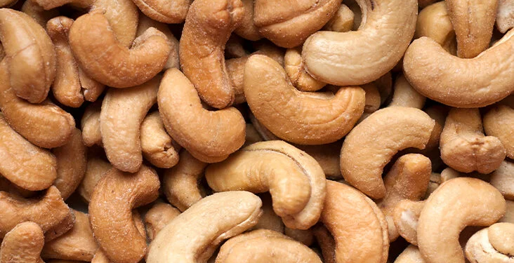 Nigeria Can Earn $10bn Annually from Cashew Industry — NCAN
