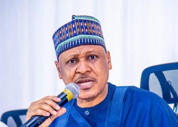 2026 Budget to Consolidate Tinubu’s Reforms, Says Information Minister