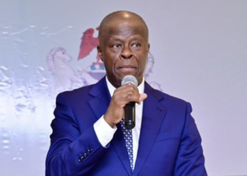 FG’s Economic Reforms Target Inclusive, Job-Rich Growth for Youths — Wale Edun