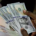 Naira Holds Firm Near ₦1,390/$ as January Trading Ends on a Strong Note