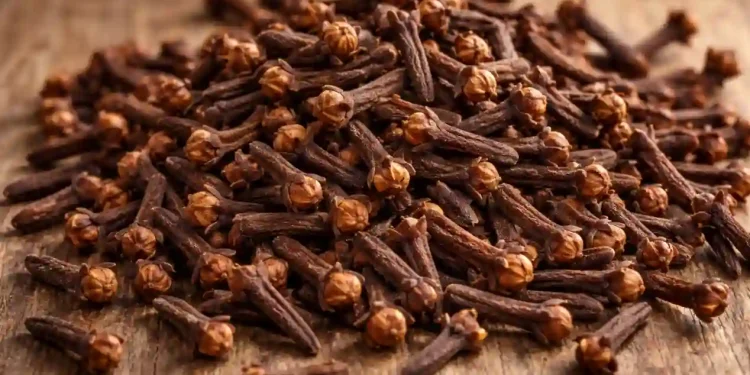 FG Launches Nationwide Cloves Farming Programme for 2026 Wet Season