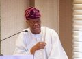 Nigeria to Rely More on Domestic Resources, Reduce Borrowing – Finance Minister