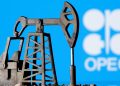 Nigeria Ranks Lowest Among Top 10 OPEC Countries in Global Oil Reserves