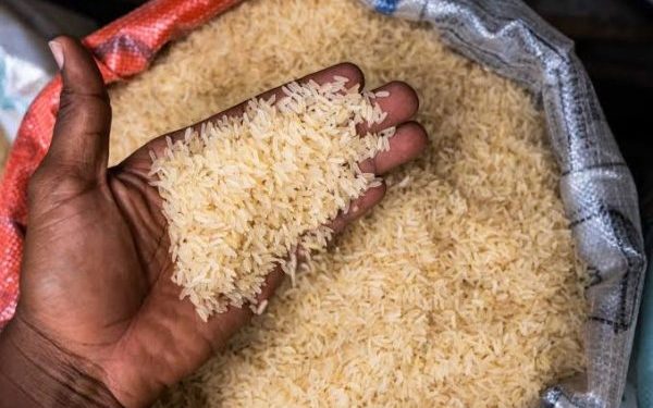 FG Policy Committee Recommends Closure of Rice Import Windows as Nigeria Spends Over N1tn on Imports