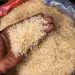 FG Policy Committee Recommends Closure of Rice Import Windows as Nigeria Spends Over N1tn on Imports