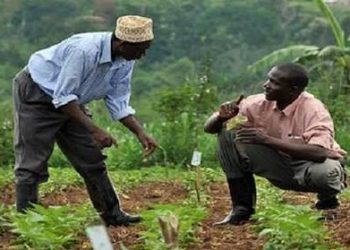 FG Warns Against Nigeria Becoming Dumping Ground for Substandard Agricultural Produce