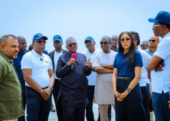 Dangote to Open Refinery for Public Investment Within Five Months