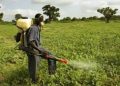 FG Begins Validation of Harmonised Fertilizer Manual to Boost Crop Productivity