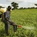 FG Begins Validation of Harmonised Fertilizer Manual to Boost Crop Productivity