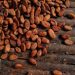 Ghana Lowers Cocoa Farmgate Price Amid Global Market Slump
