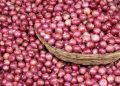 Nigeria Produces 2.1 Million Metric Tonnes of Onions Annually, Says Marketers