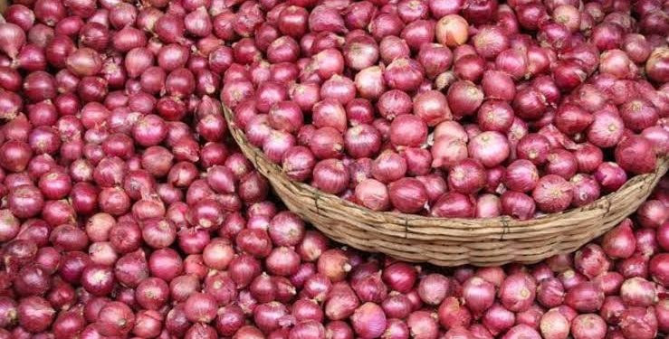 Nigeria Produces 2.1 Million Metric Tonnes of Onions Annually, Says Marketers