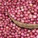 Nigeria Produces 2.1 Million Metric Tonnes of Onions Annually, Says Marketers