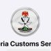 Customs Approves Lagos Free Zone Green Channel to Boost Port-to-Zone Logistics
