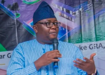 Adebayo Adelabu Promises Improved Electricity Supply Amid Gas Constraints