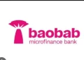Baobab Microfinance Bank Launches Green Finance Project to Boost Solar Adoption