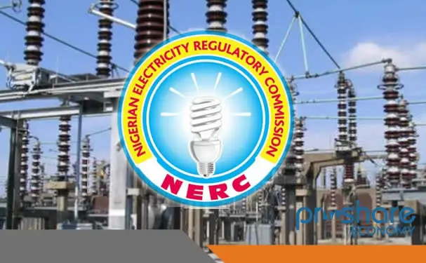 68% of Nigeria’s Installed Power Capacity Idle in February, NERC Data Shows