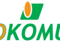 Okomu Oil Approves 2025 Financials, Announces Closed Period Ahead of AGM